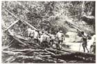 In addition to bringing up supplies Papuans also played a vital role in bringing out the Australian sick and wounded.  The difficulty involved in the latter task is vividly illustrated here by the number of men needed to carry a stretcher case across a mountain stream in September 1942.
